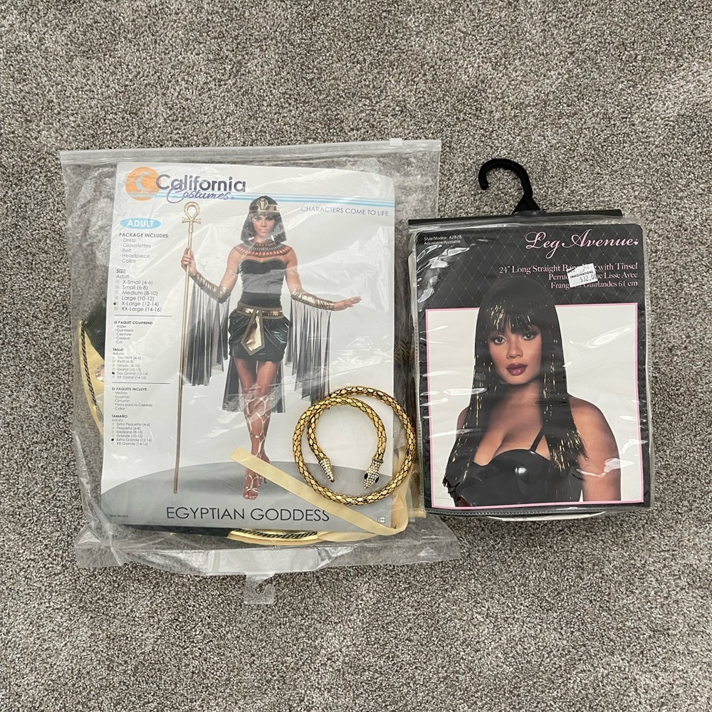 California Costumes Gold and Black Egyptian Goddess Ensemble